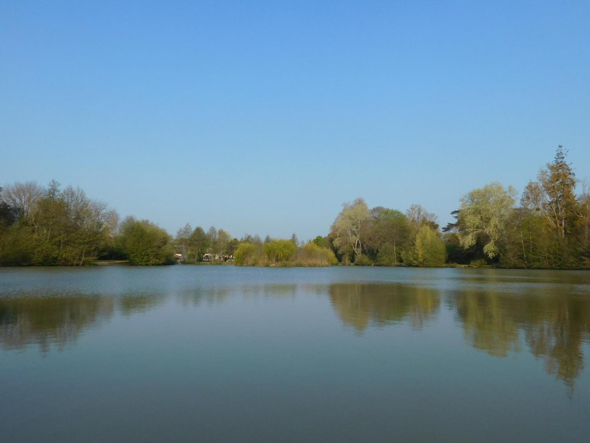 Village De Gites Nature Et Jardin Bouere 外观 照片