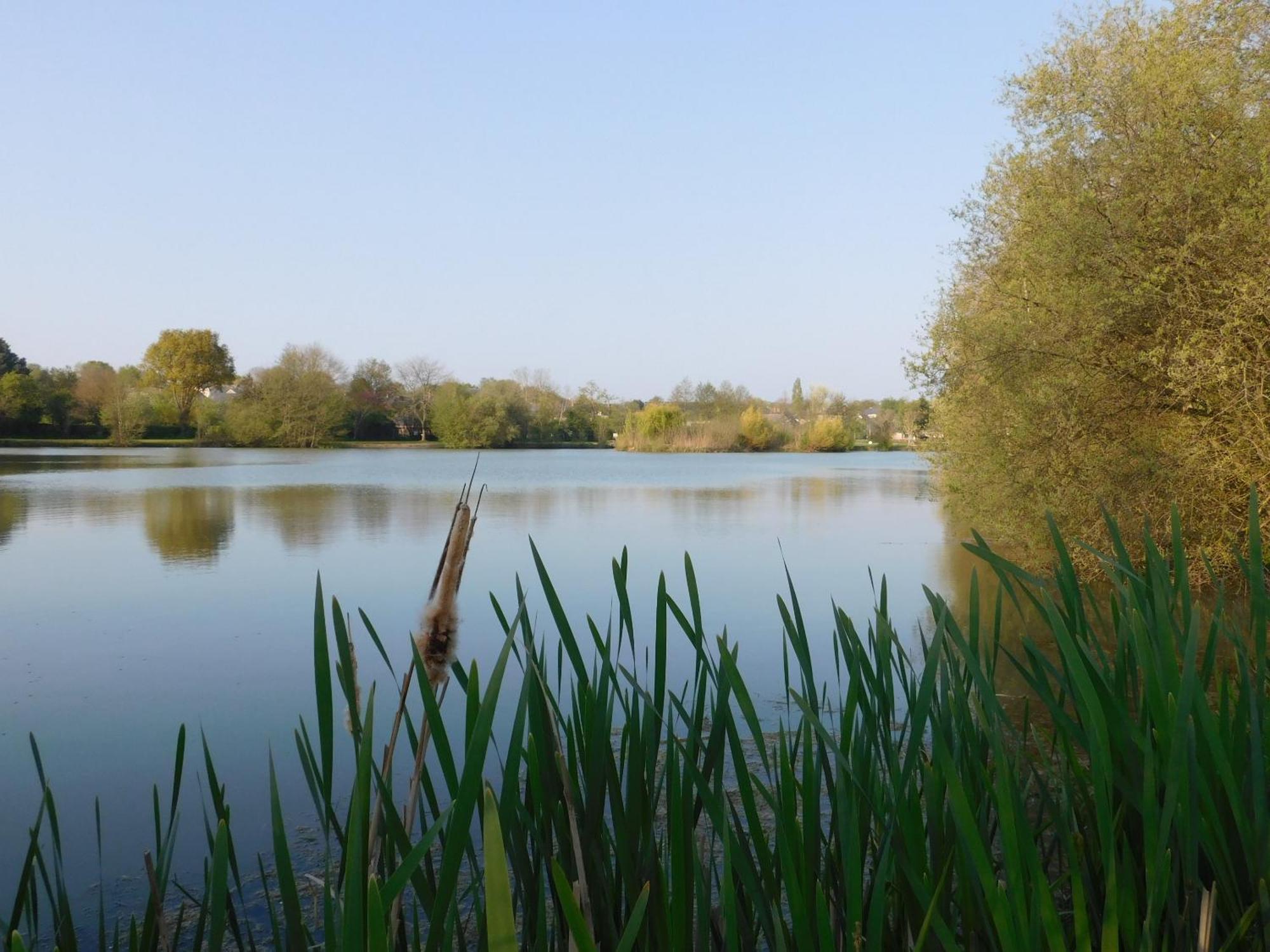Village De Gites Nature Et Jardin Bouere 外观 照片